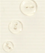 2-hole button (Plastic - Transparent - 15mm)