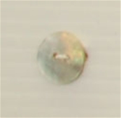 2-hole button (Mother-of-pearl - Natural - 11mm)